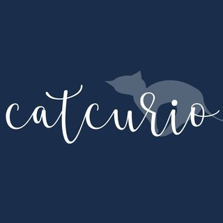 CatCurio